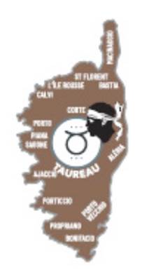 Magnet métal Île de Corse – Taureau